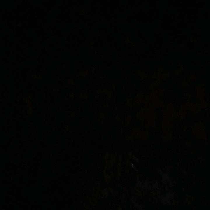 遇见你是我最大的幸福