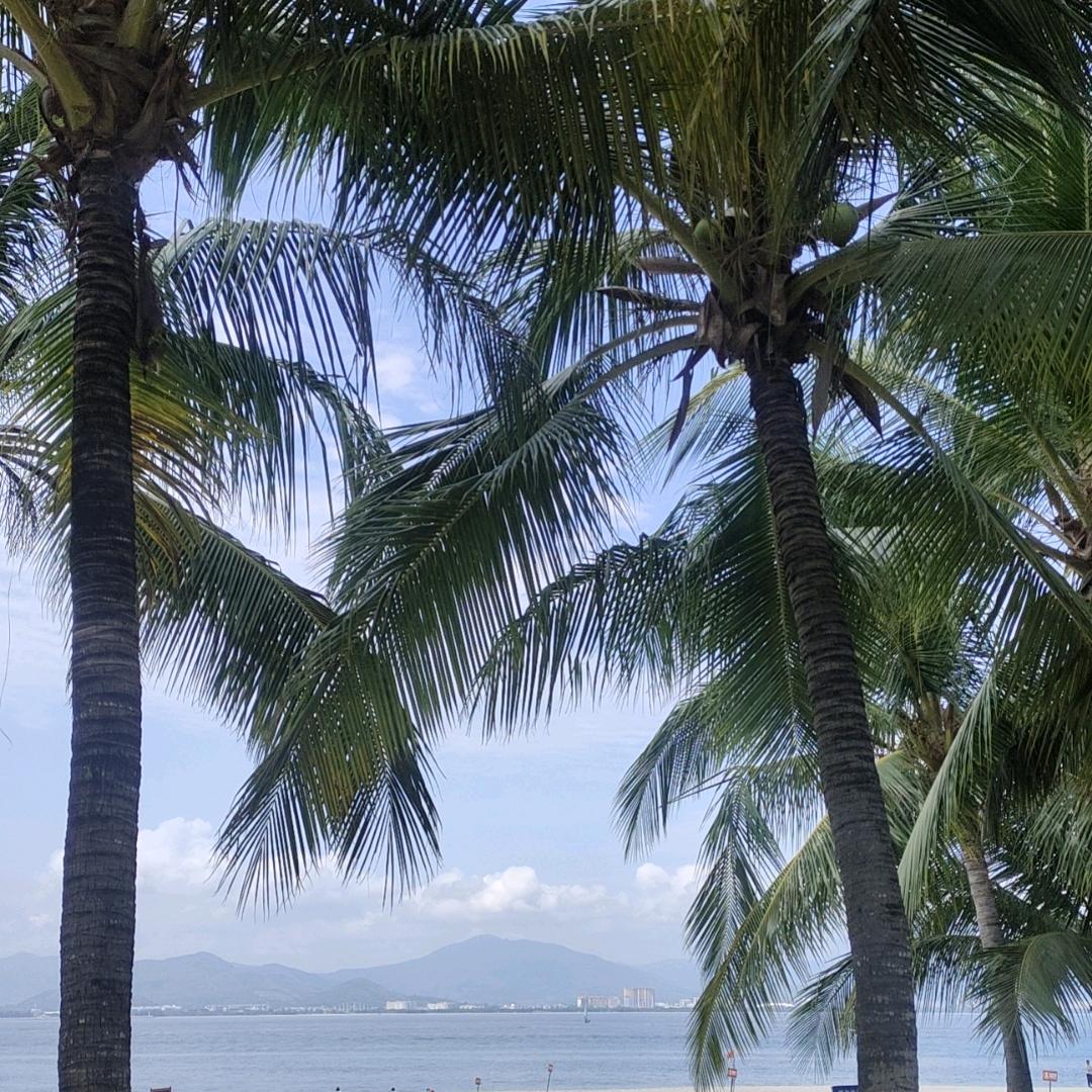 海新。