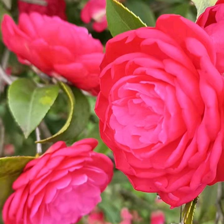 ❤️余生🌷🌷好好爱自己💞💞💞