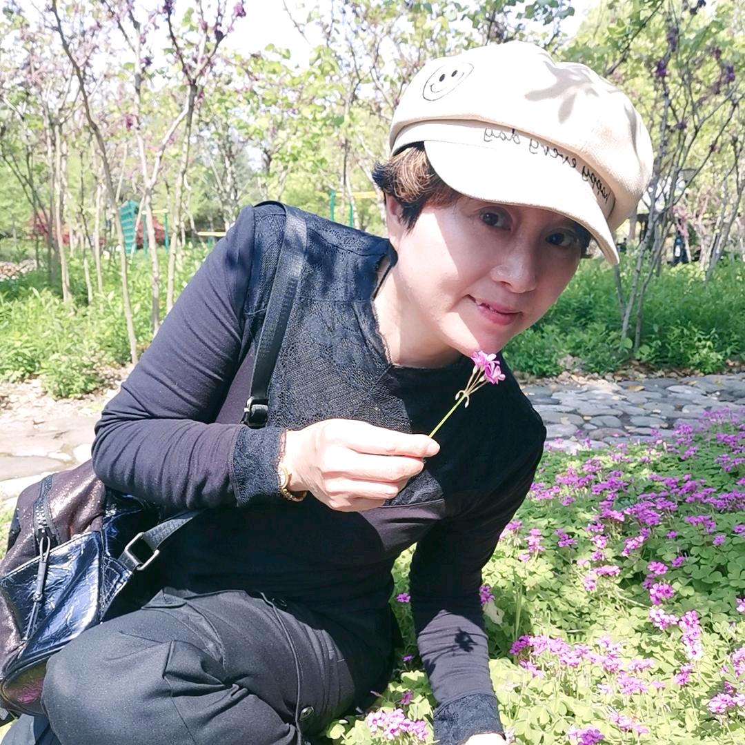 紫风铃