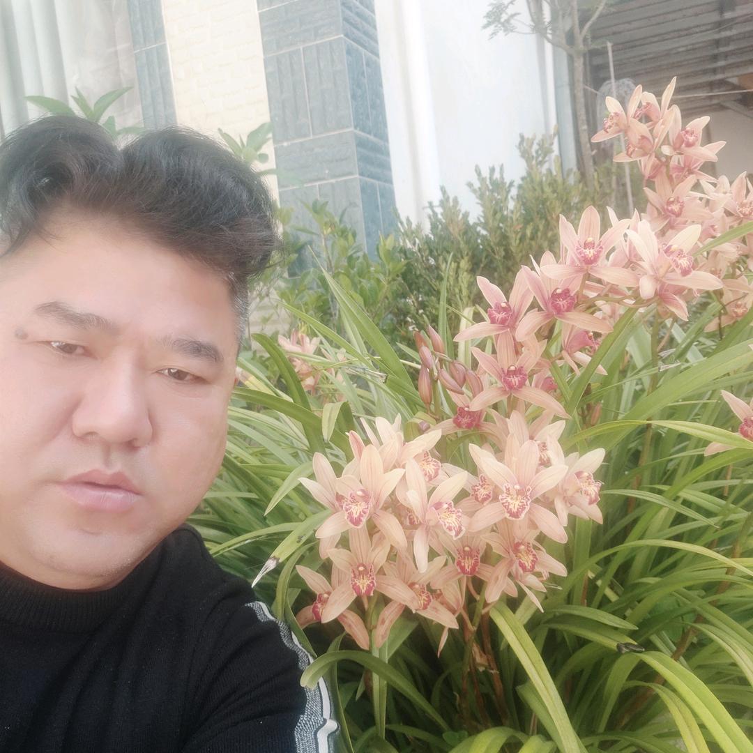 风雨无阻
