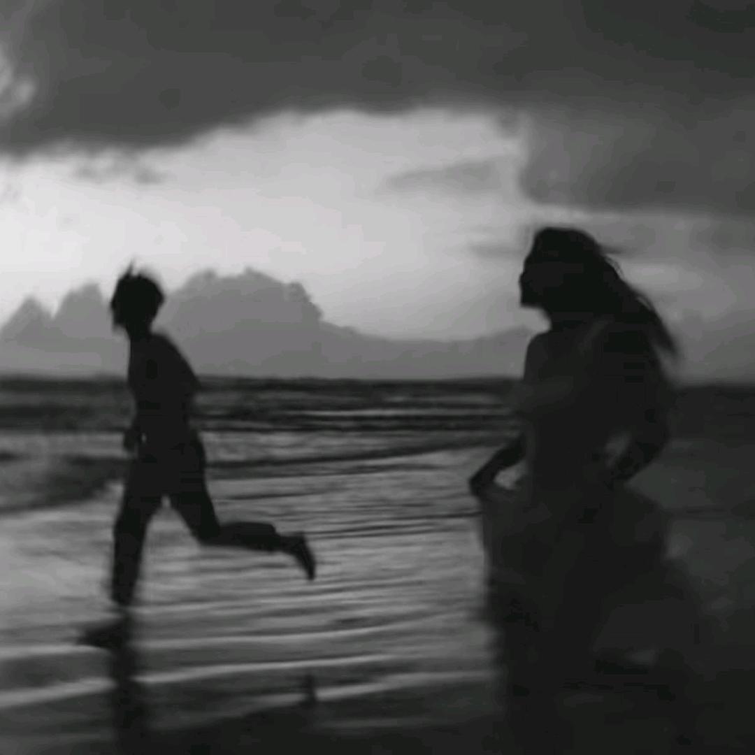 龙宝