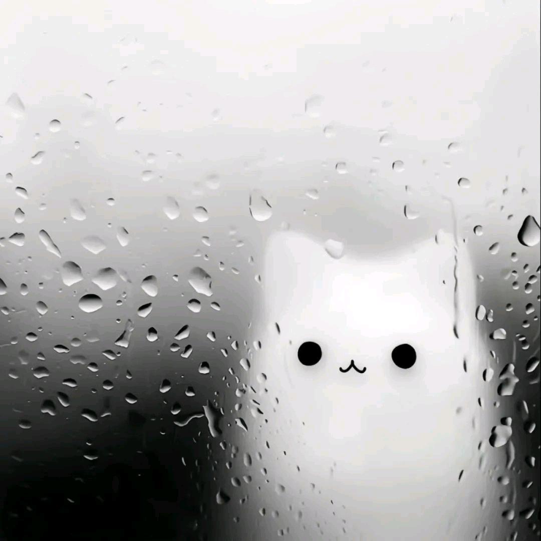 阿沢