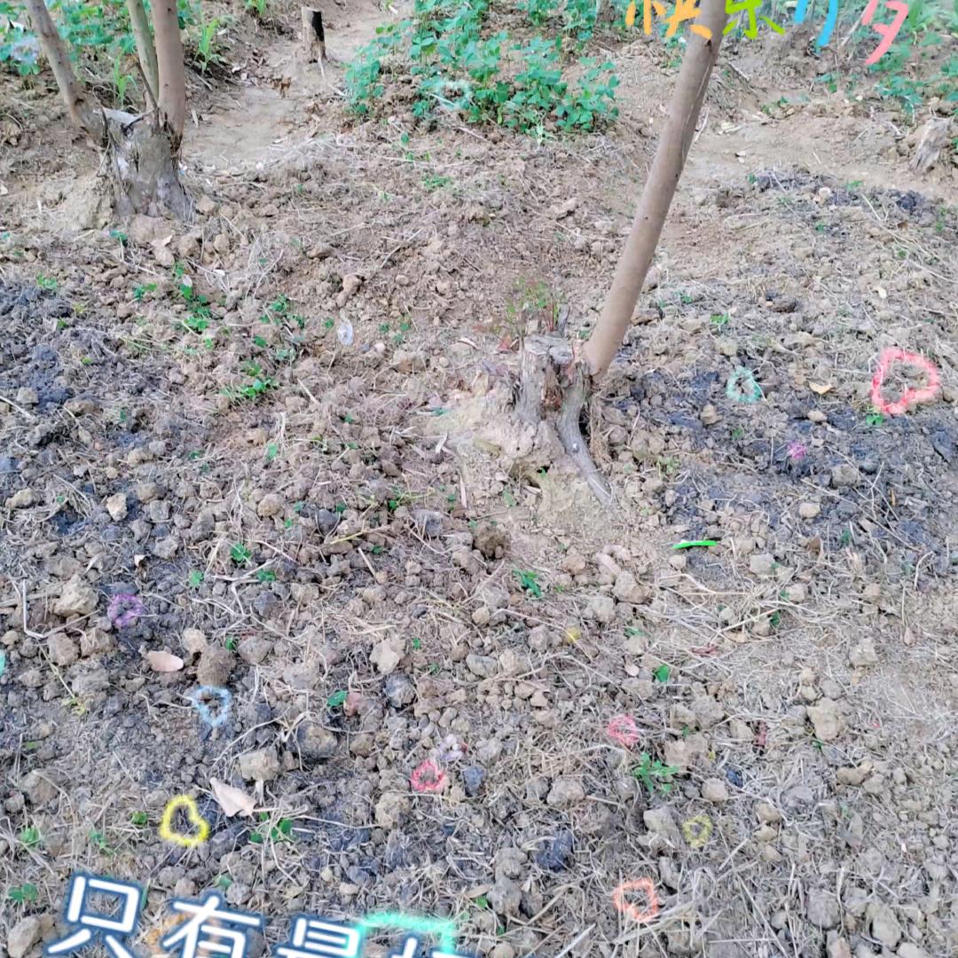 爱一个人好难过