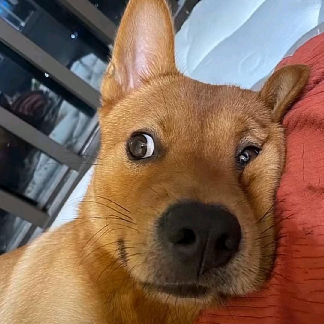 小嘴巴