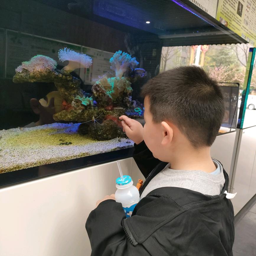 家🈶二宝👨‍👩‍👦‍👦