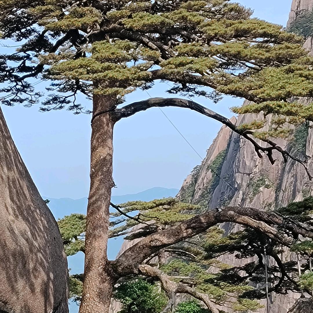 天空海阔你于我