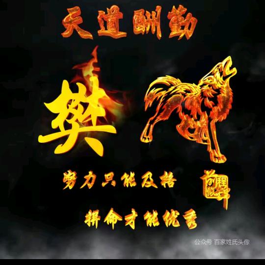 起伏人生