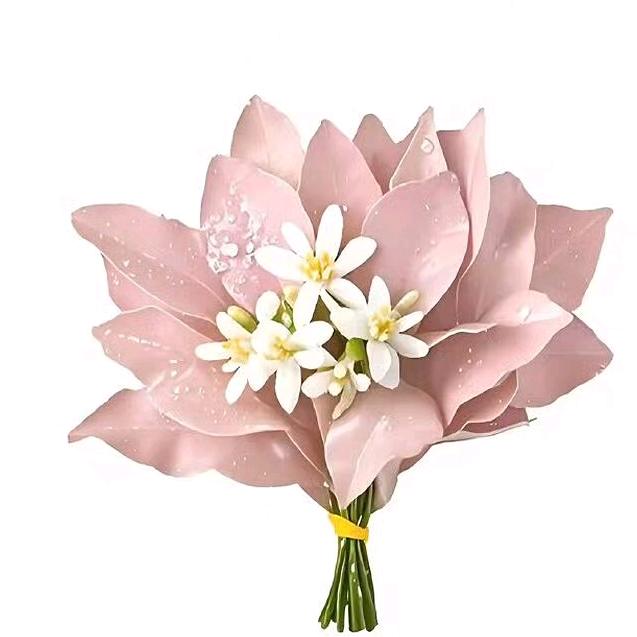 ᥫᩣ༠°社恐小窝蛋