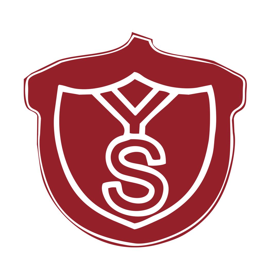 杭亚电子安防专卖店