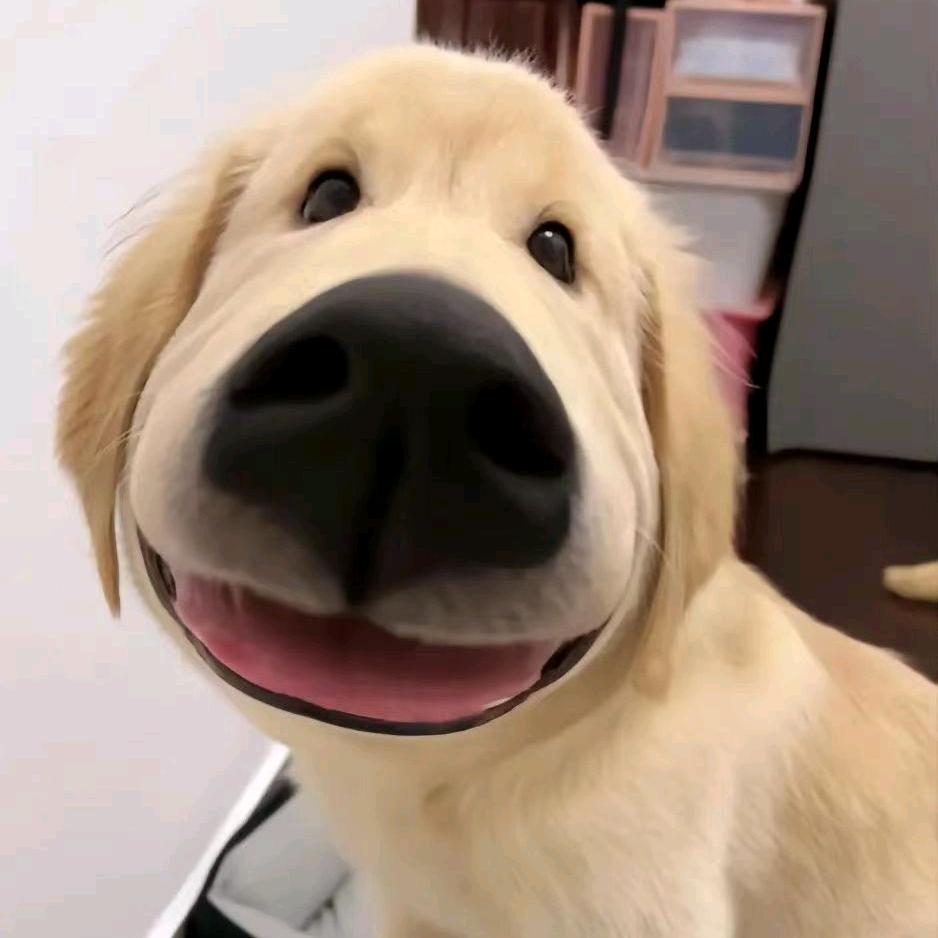 等一个暖冬