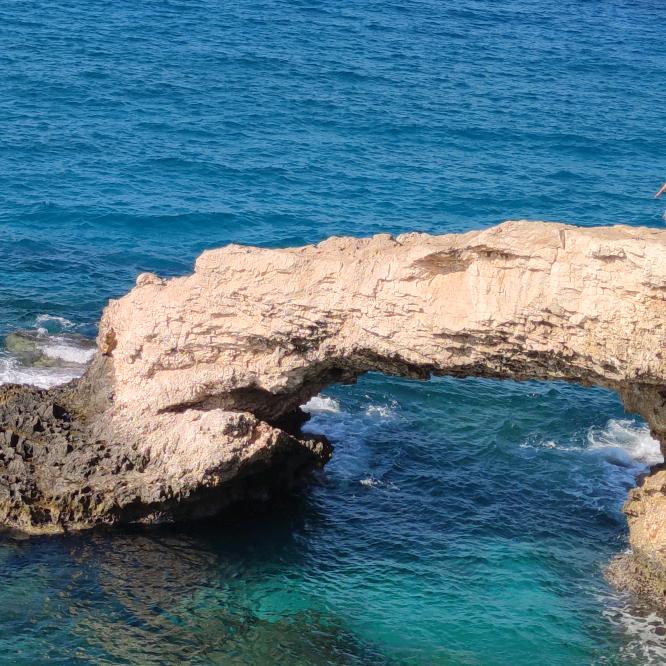 我就是我🌻🌻🌻