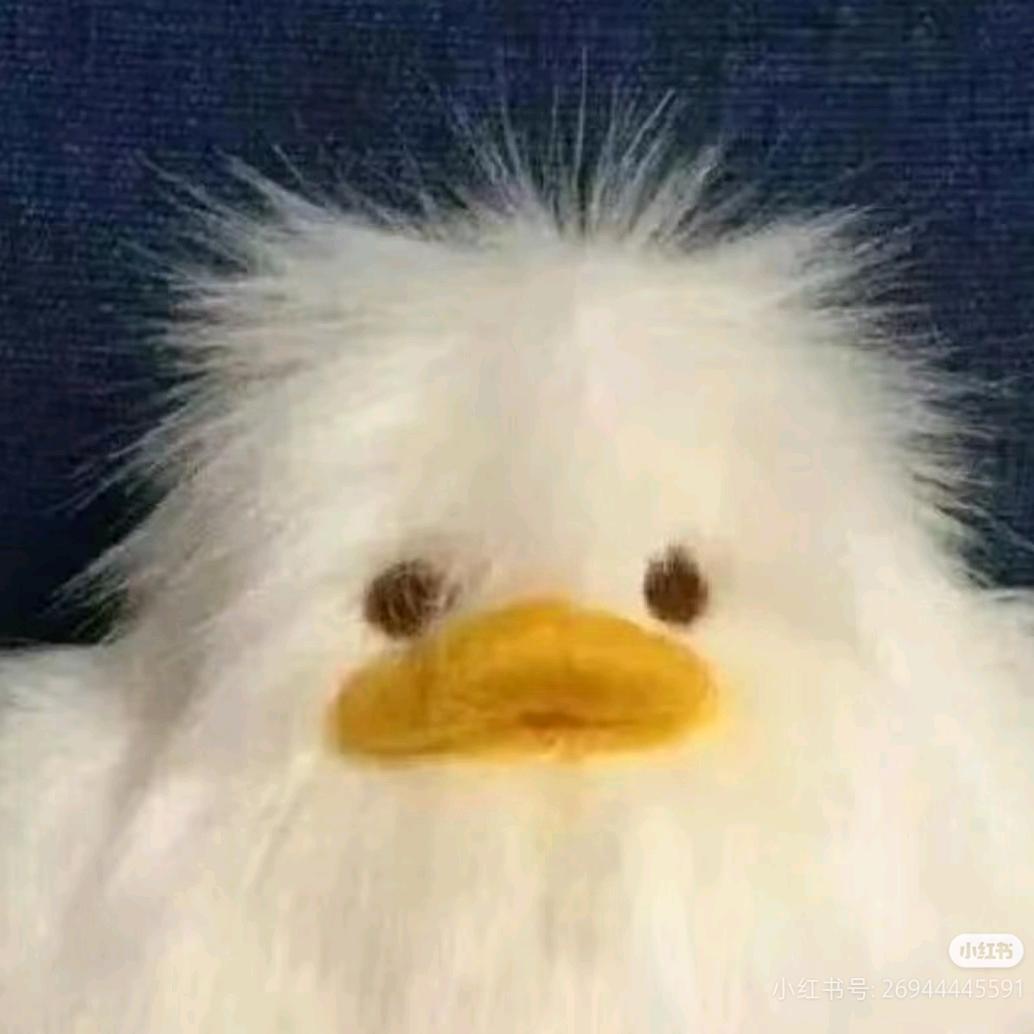 不锈钢大铁盆（求推荐）