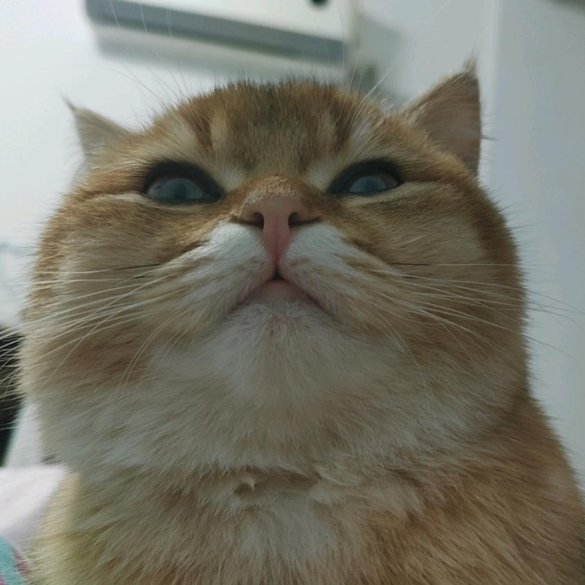 我没事