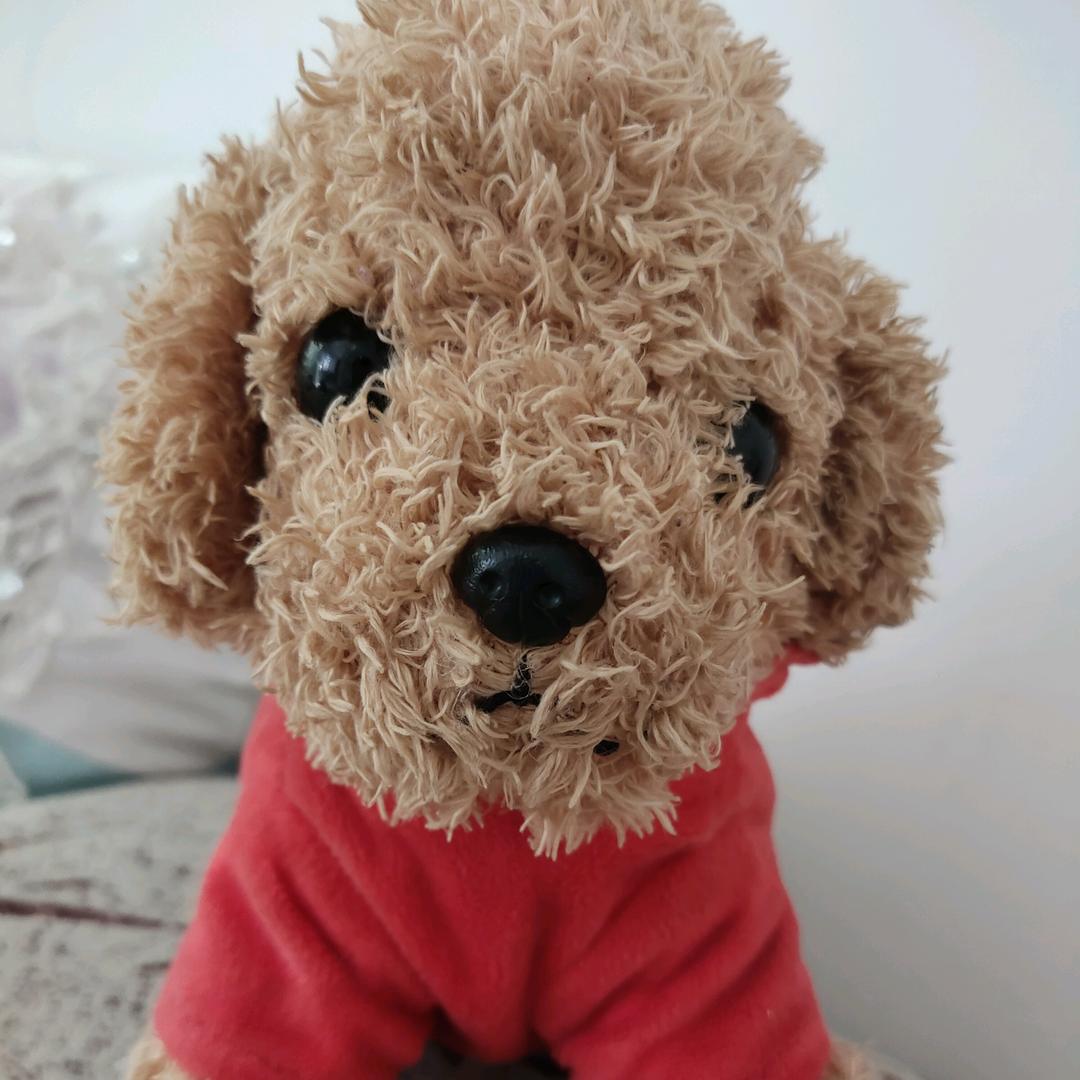 西安市创汇社区，细柳社区