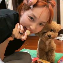 超级无敌暴龙🦖🕳️