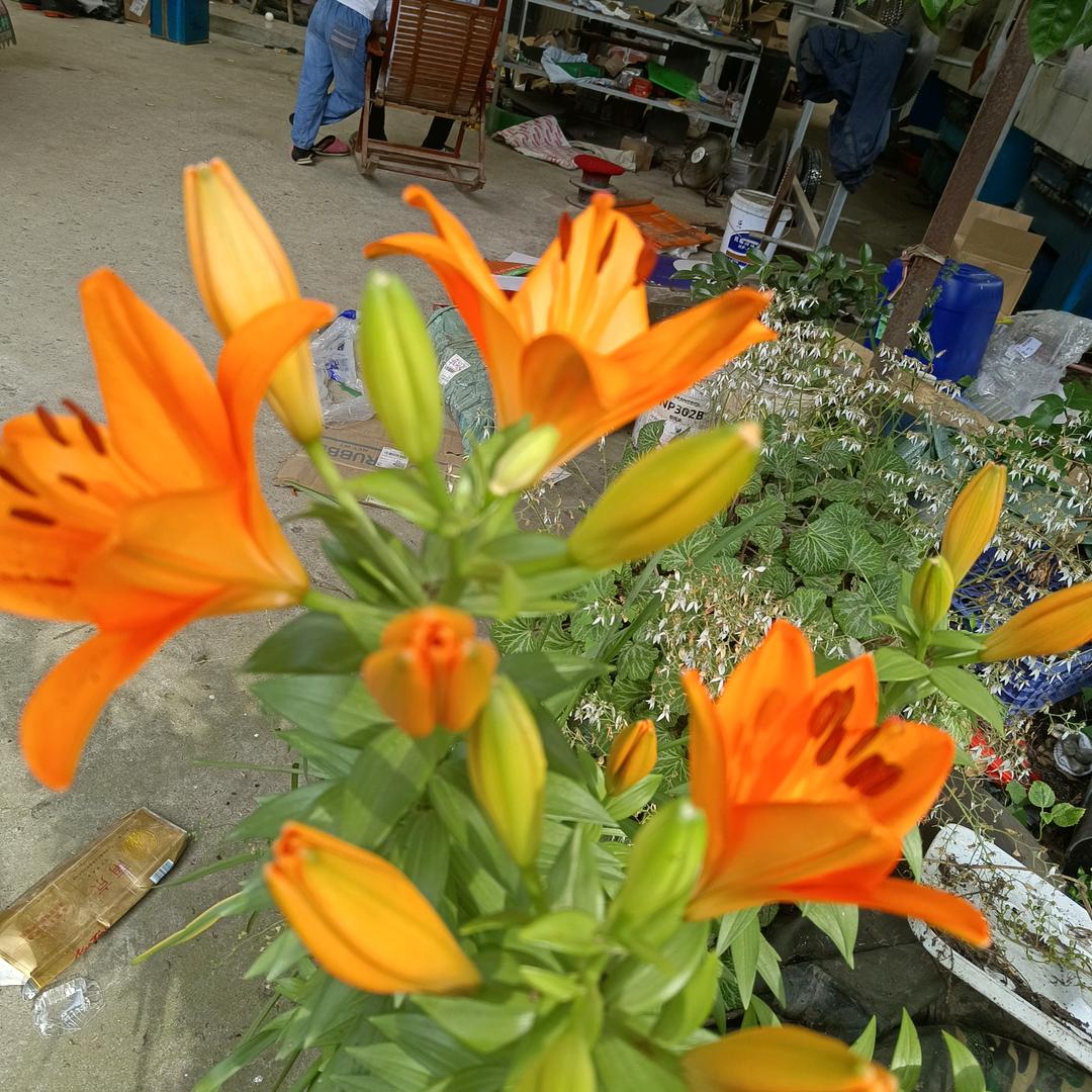 《《幸福在哪里》