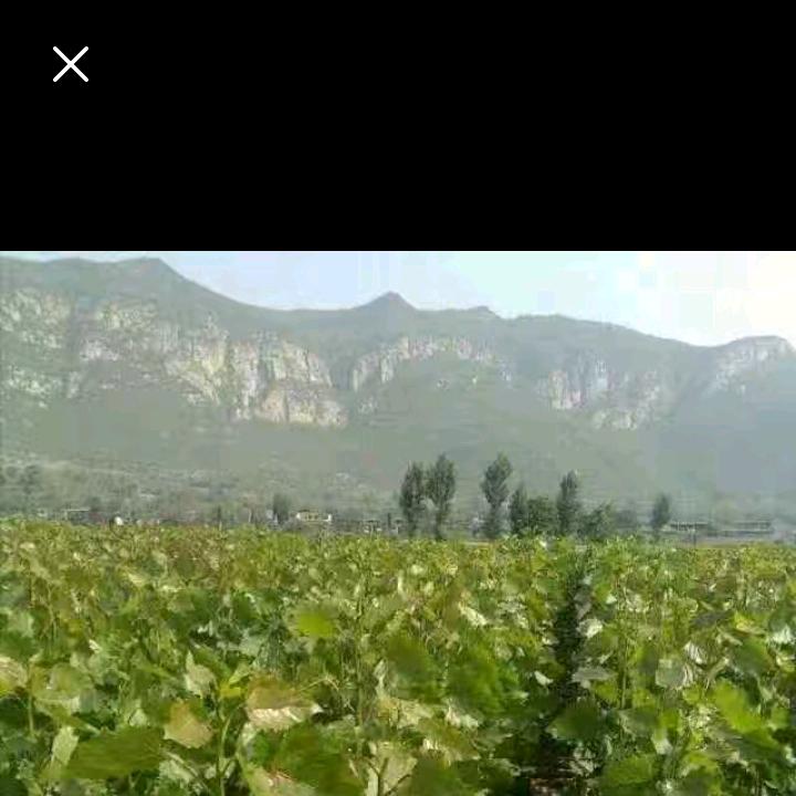 珍惜相遇