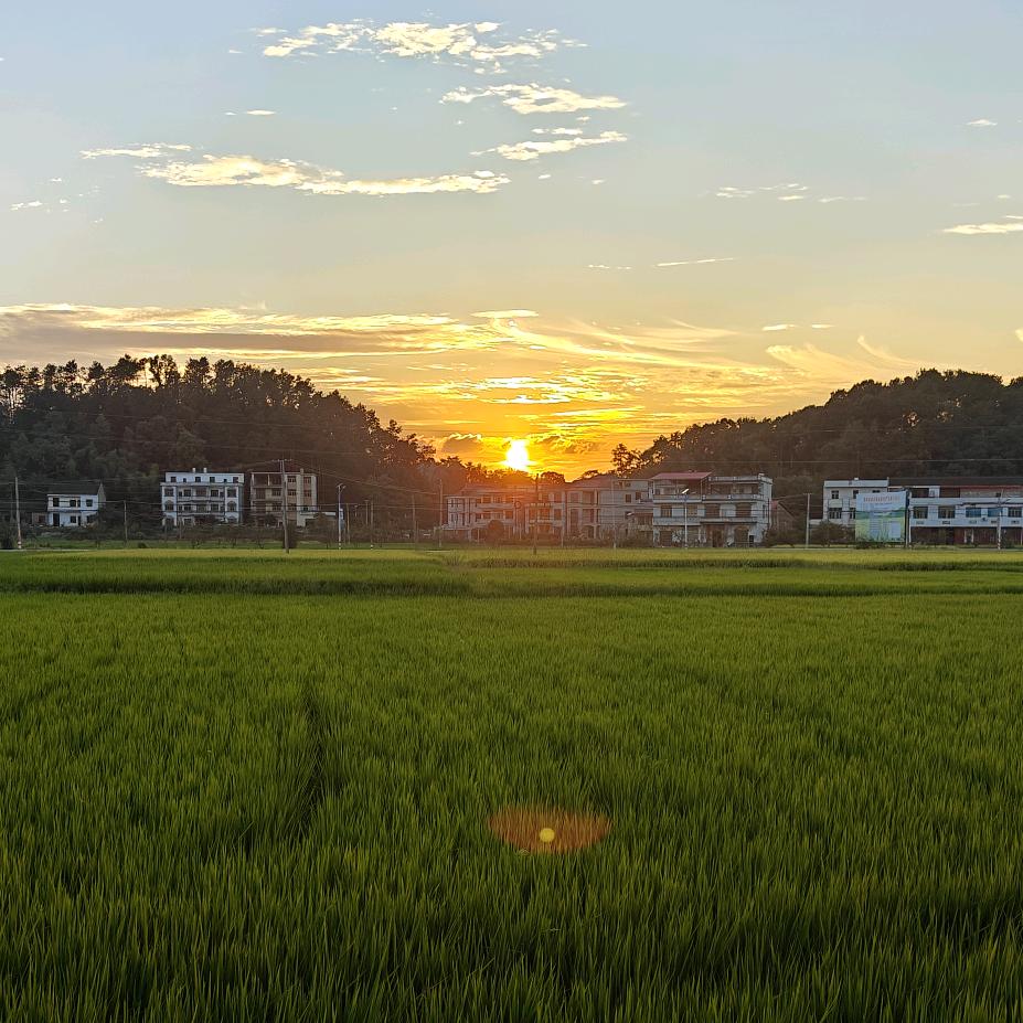 乡村伙夫（湘菜师傅）