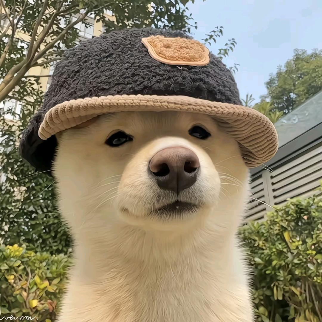 柚心