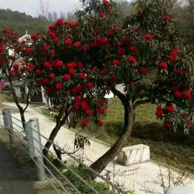 为自己加油💖💖💖💖💖！