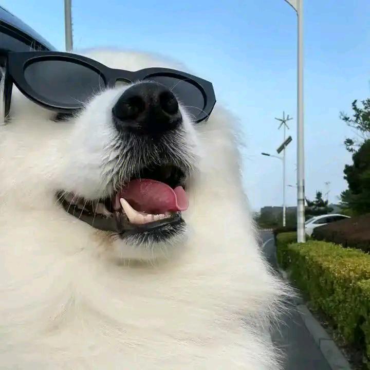 云枕月而眠