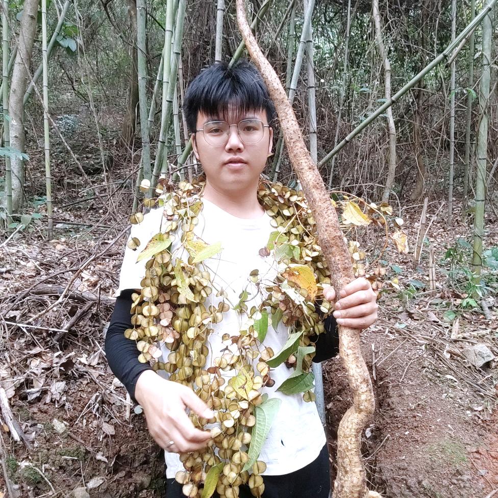 老林山里人