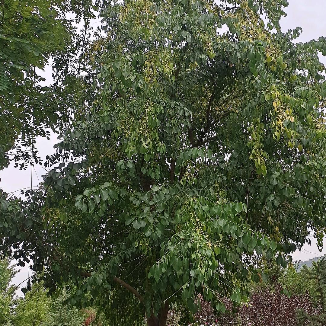 用户7152733196753春暖花开