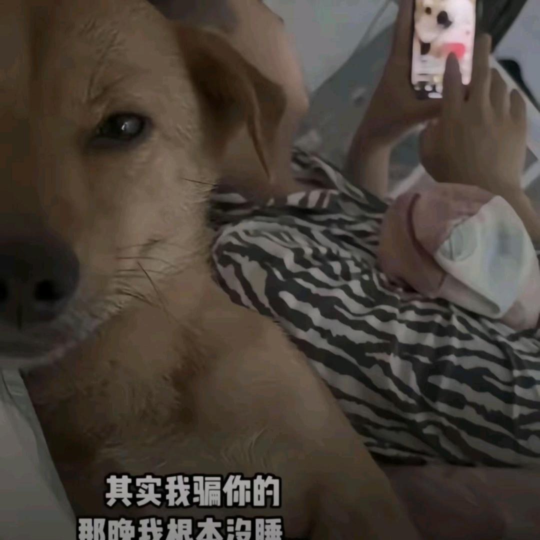 鱼不空