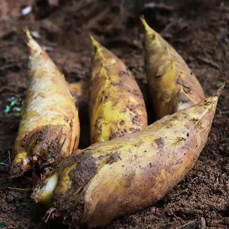 沅陵助农益民好食材