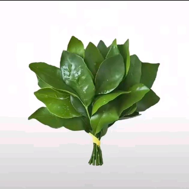 凤翔苑的一家平价女装💫