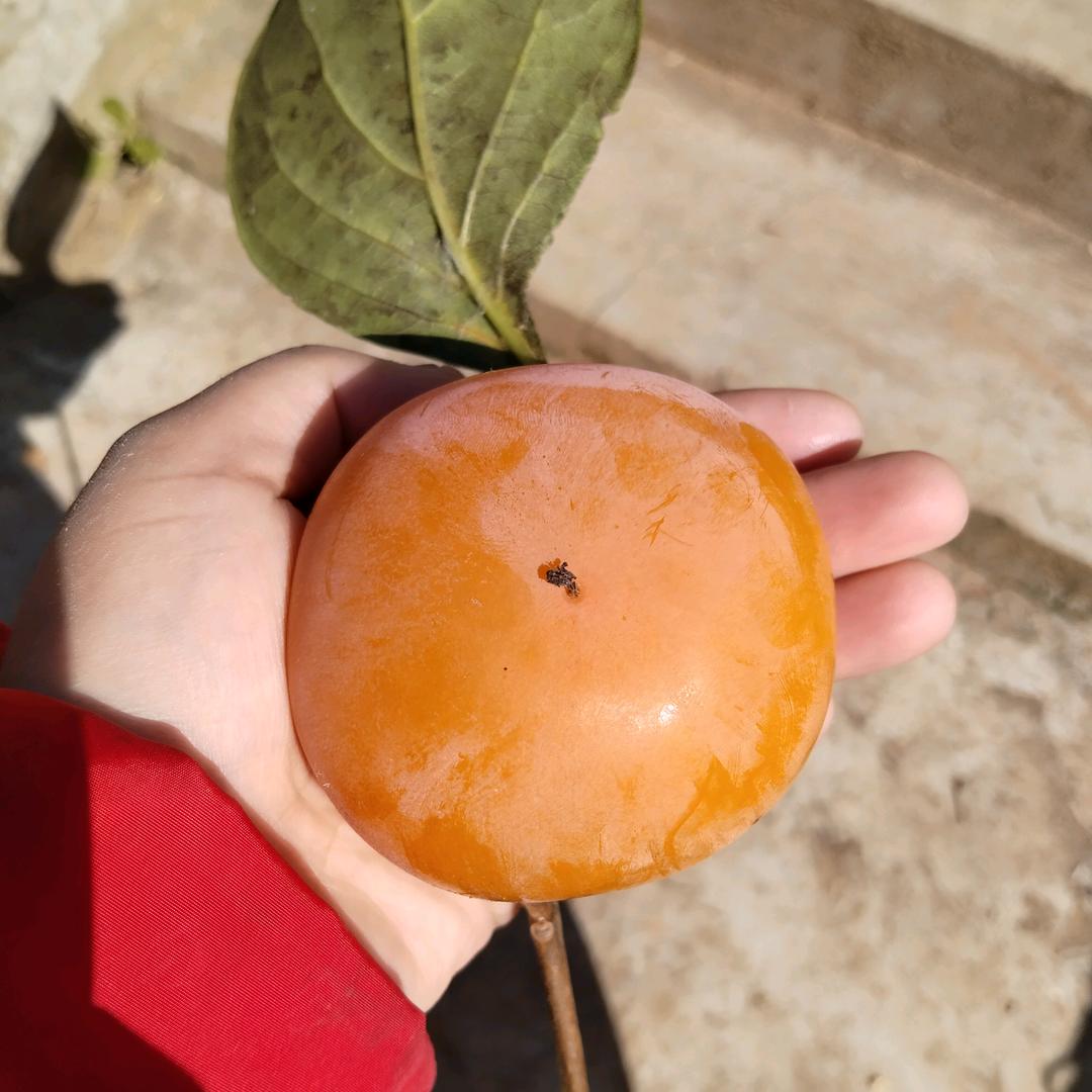 因为你