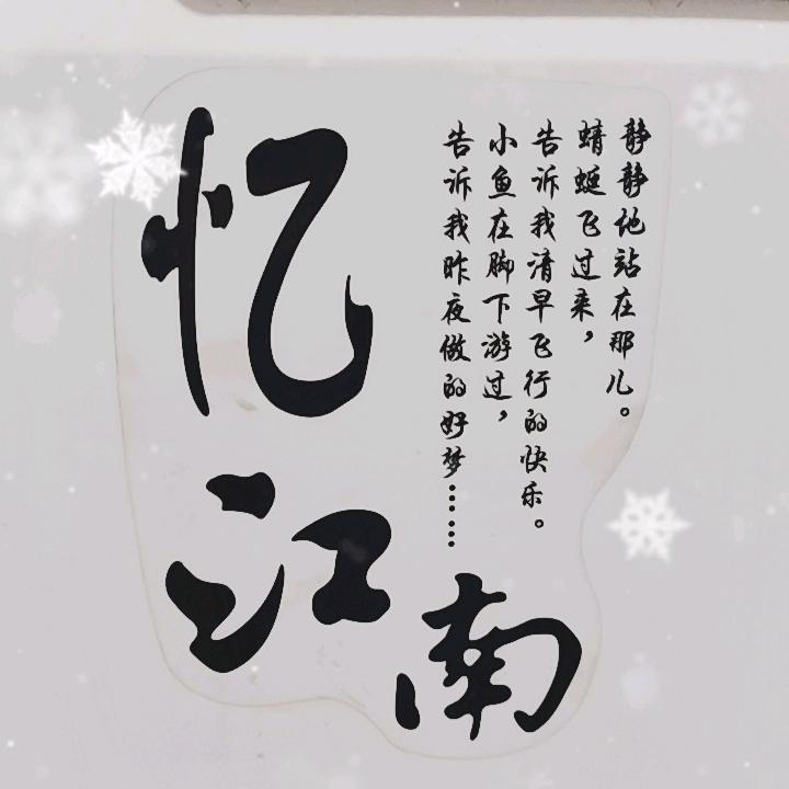 凤栖梧桐🧚‍♀️