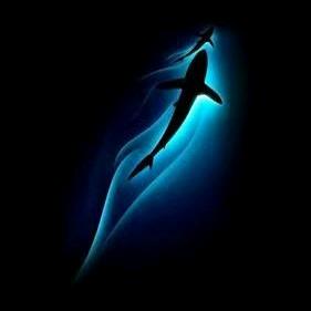 🍒时光꧔ꦿ安好