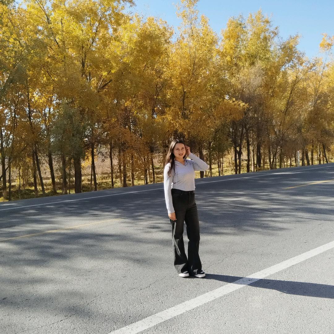 新疆阿克苏185纸皮核桃·助农1号