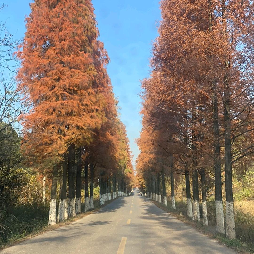 水金建筑劳务有限公司