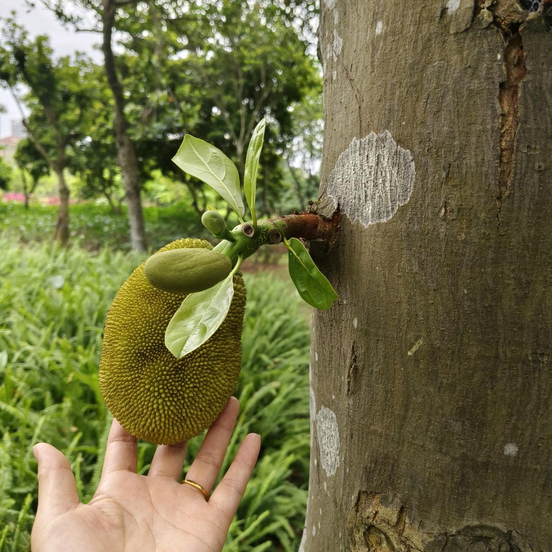 沙漠里的一粒沙