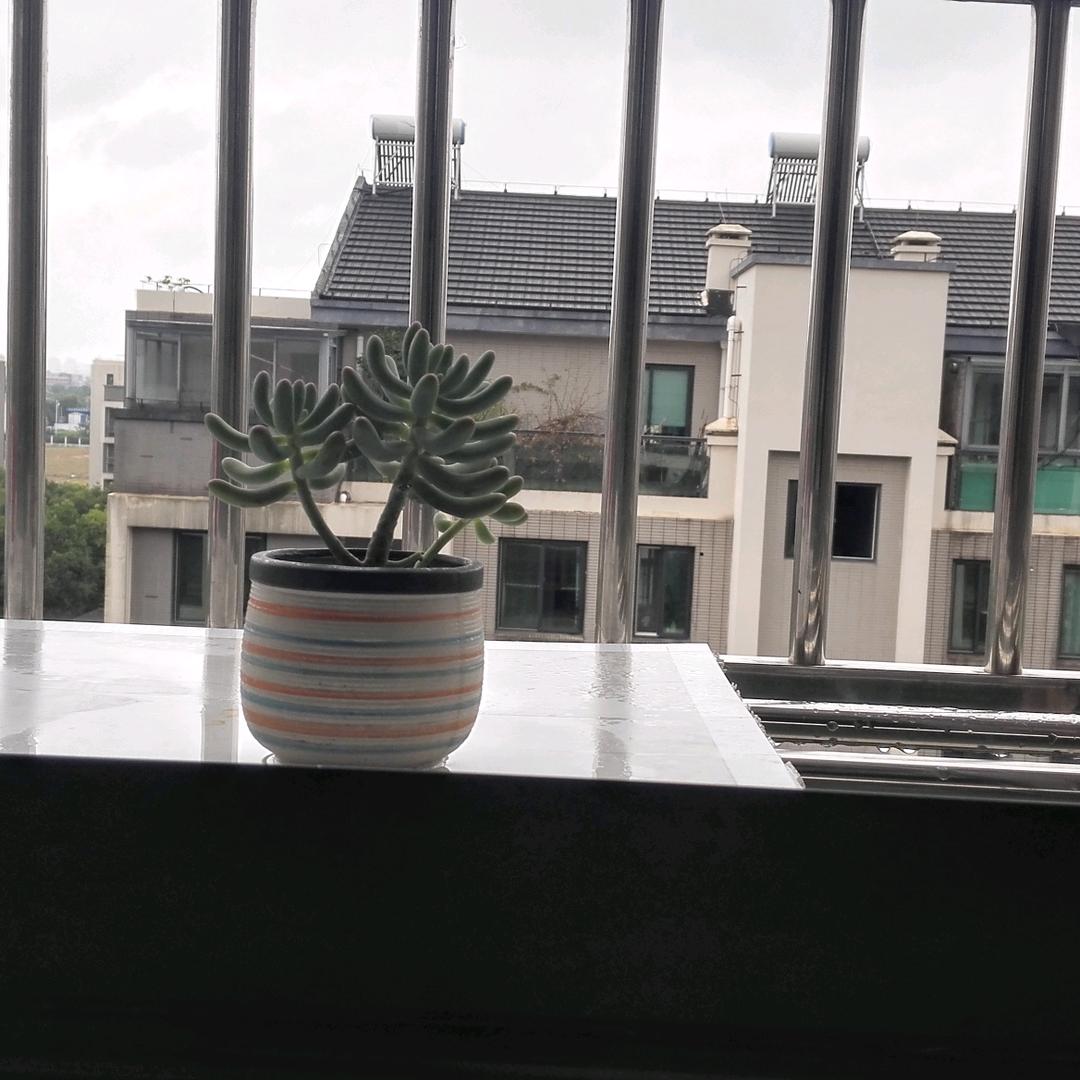 品平