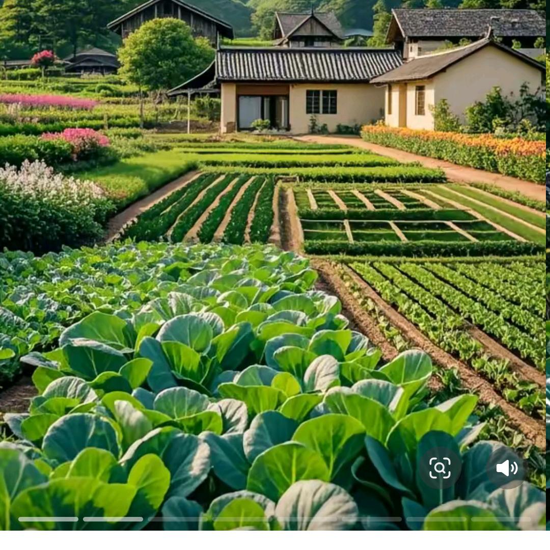 乡村景色真美