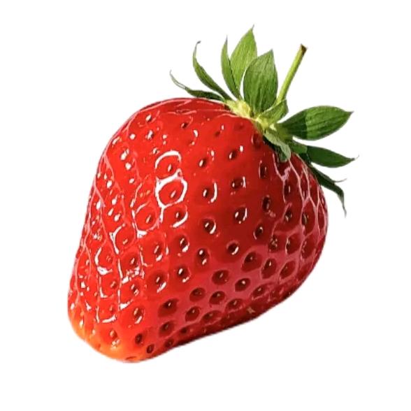 樱樱
