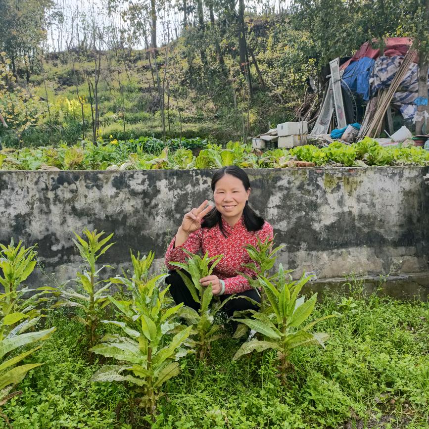 朱姐🎤经典老歌（每天早上6点30直播)