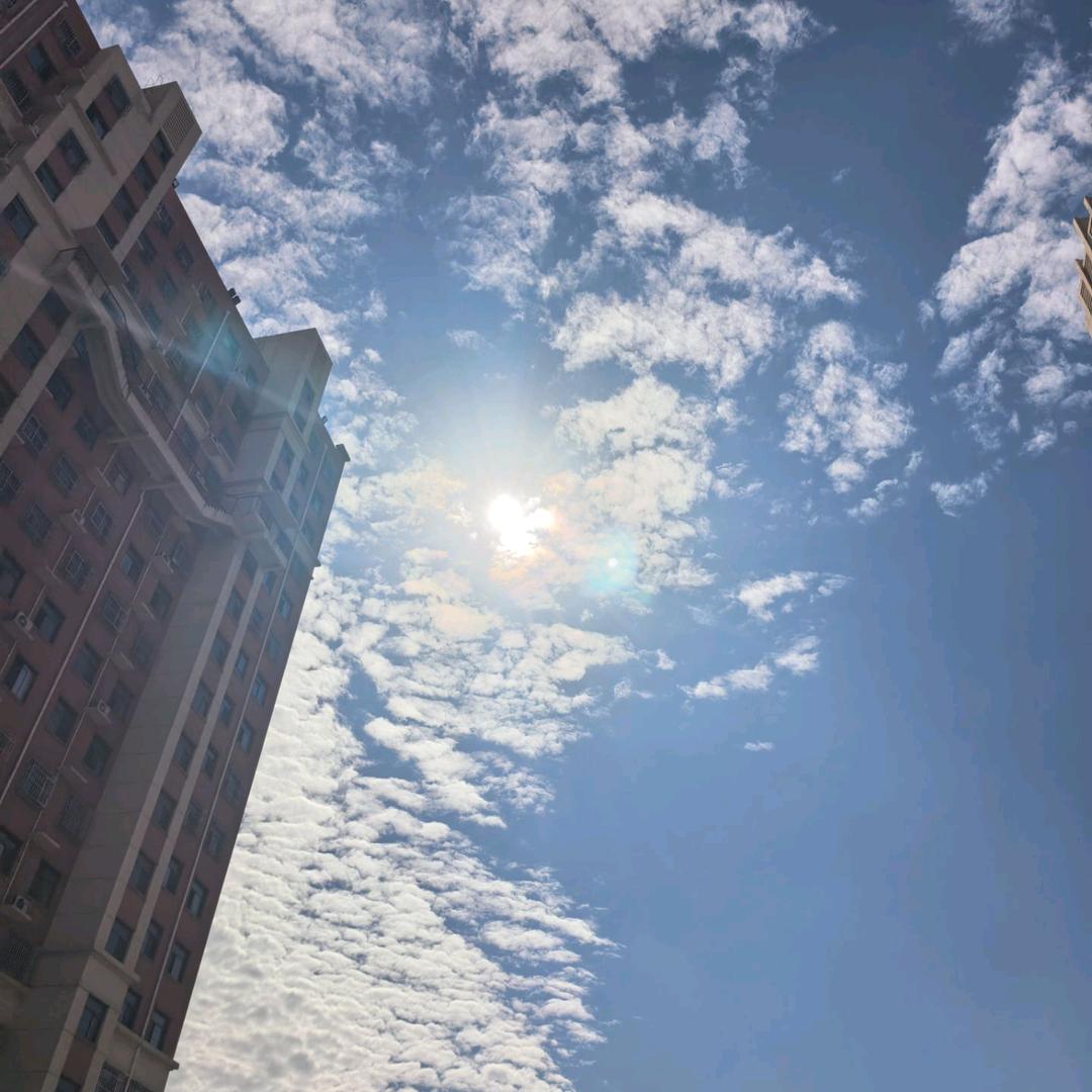 真心话没有理由