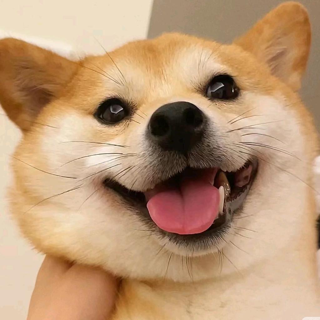 @贤菜