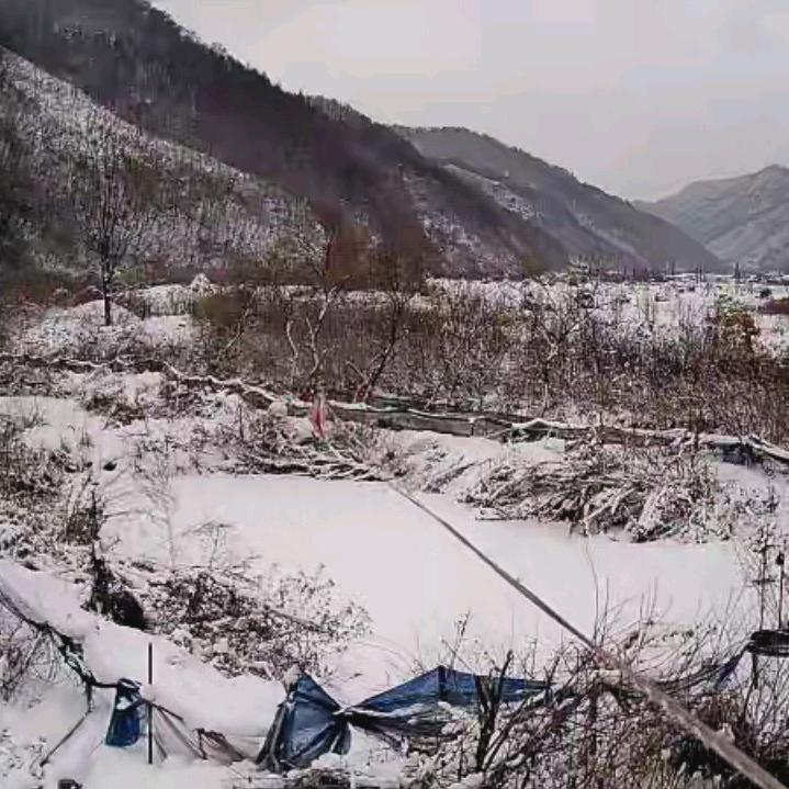 刘唱天