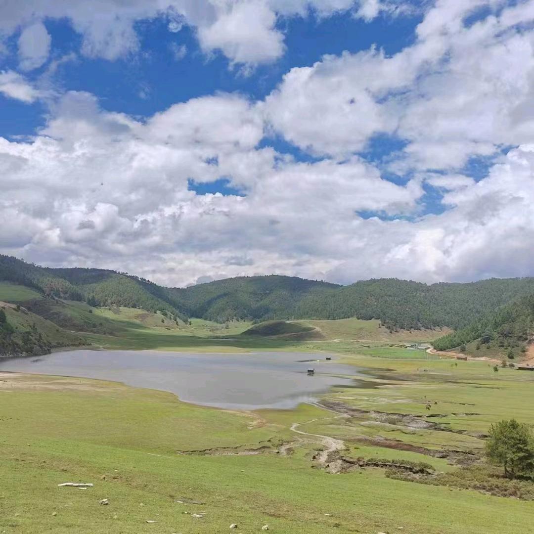 你将是我一生所向