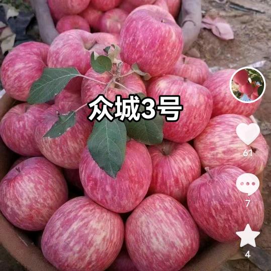 苹果咋弄