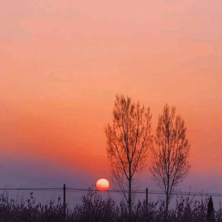 @壹加壹等于肆？