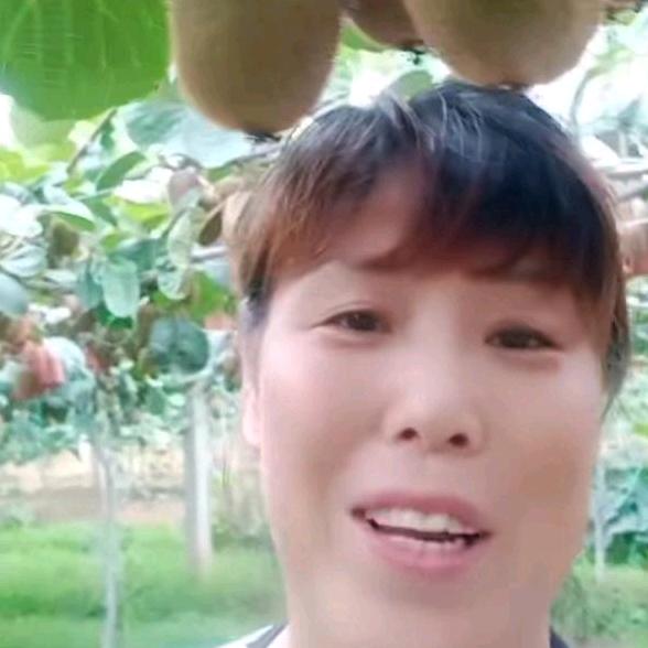 绿源（酵素猕猴桃）