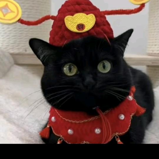 小A
