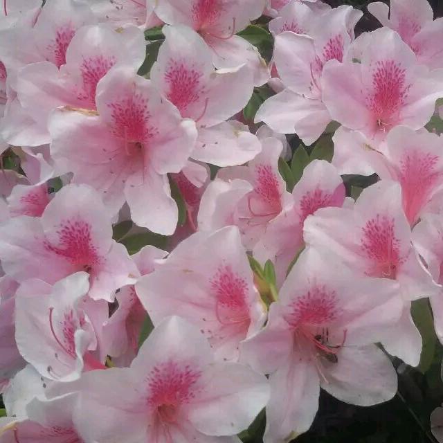 笑看人生！！！